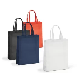 Sacola em Non-Woven SP22907